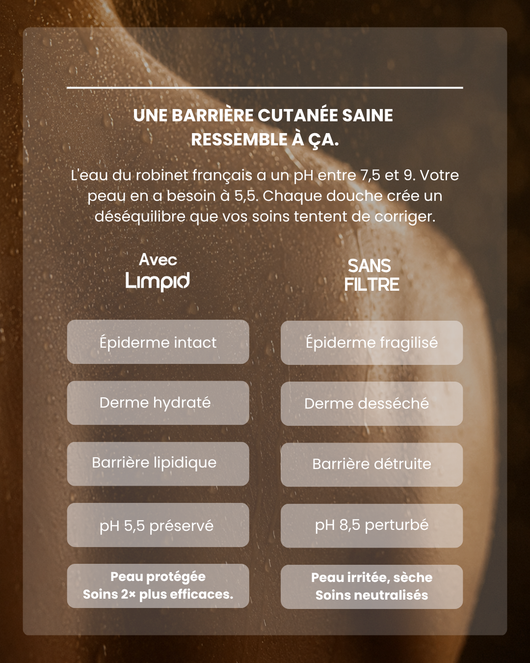 Pommeau de douche filtrant Limpid I Acier Brumeux