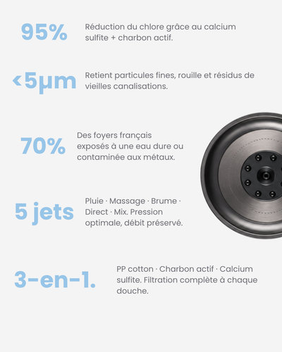 Pommeau de douche filtrant Limpid I Acier Brumeux