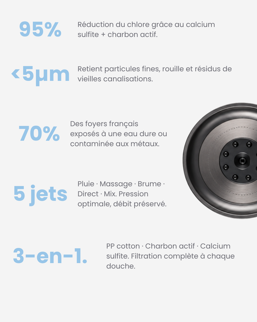 Pommeau de douche filtrant Limpid I Acier Brumeux