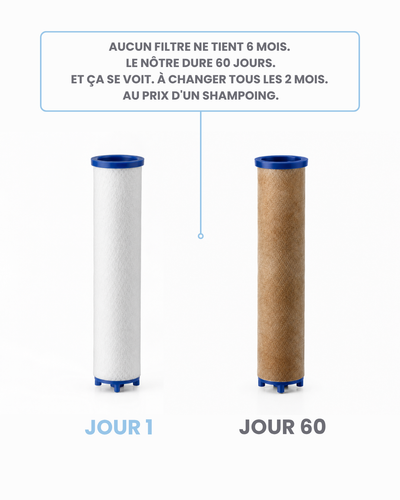Pommeau de douche filtrant Limpid I Acier Brumeux